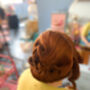 Vintage Pinup Hair Styling Experience In Leamington Spa, thumbnail 6 of 12