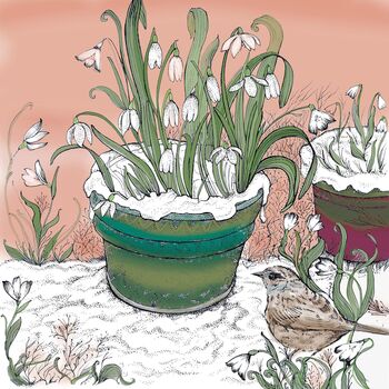 'Dunnock And Snowdrops' Print, 2 of 3