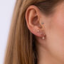 Rose And Silver Plated Star Climber Earrings, thumbnail 1 of 9