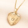Personalised Initial Stainless Steel Heart Locket Necklace In Gold Plating, thumbnail 1 of 2