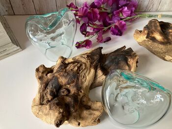 Handcrafted Double Molten Glass On Driftwood Melted Glass Bowl, 6 of 12