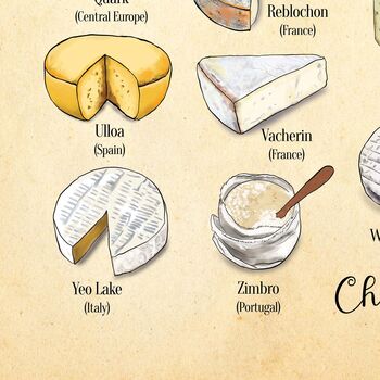 Cheese Alphabet, A Z Of Cheese, Cheese Art, 7 of 11