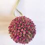 Pink Dried Rosebud Hanging Pomander, thumbnail 1 of 1