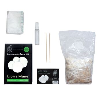 Lion's Mane Mushroom Grow Kit, 3 of 7