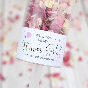 Will You Be My Flower Girl Confetti Pop, Proposal, 3 of 9