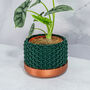 Forest Stellar Planter, thumbnail 2 of 4