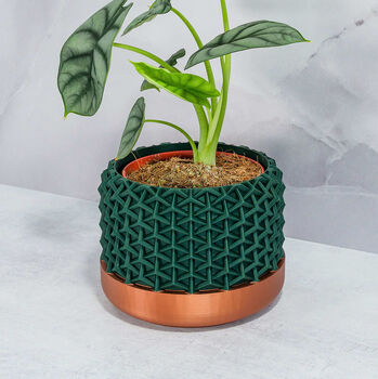 Forest Stellar Planter, 2 of 4