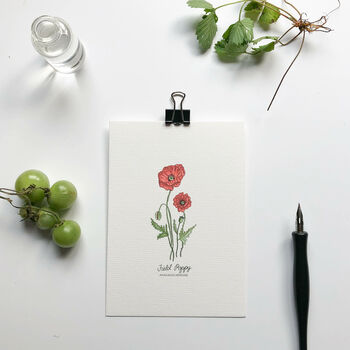 ‘Wildflowers’ Writing Set Of Notecards And Postcards, 3 of 7