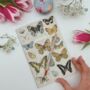 Vintage Floral And Butterflies Gift Set For Mother’s Day, thumbnail 7 of 9