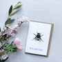 Bumble Bee Greetings Card, thumbnail 1 of 3