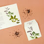 Winter Herbs Illustrated Card With Sage Seeds, thumbnail 1 of 3