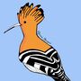 African Hoopoe Print On Blue, thumbnail 2 of 5
