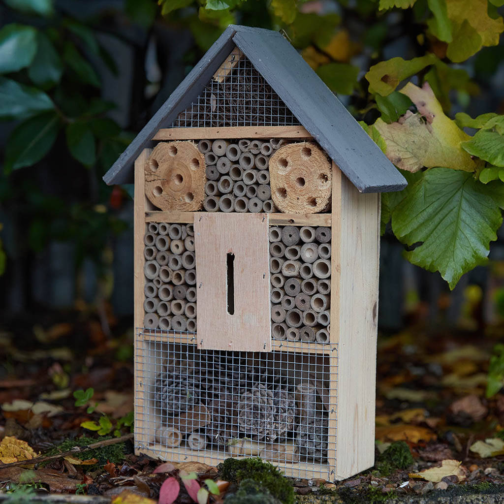 Wooden Garden Insect House By Dibor