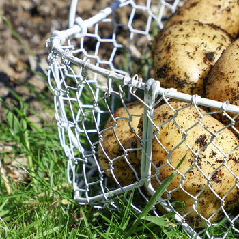 Personalised Home Grown Potatoes Gardening Basket, 5 of 7