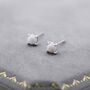 Sterling Silver Mother Of Pearl From The Queen Conch Shell Stud Earrings, thumbnail 5 of 10