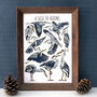 Herons Watercolour Illustrated Postcard, thumbnail 5 of 8