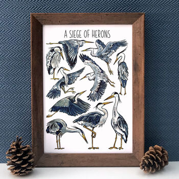 Herons Watercolour Illustrated Postcard, 5 of 8
