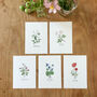 ‘Wildflowers’ Writing Set Of Notecards And Postcards, thumbnail 7 of 7