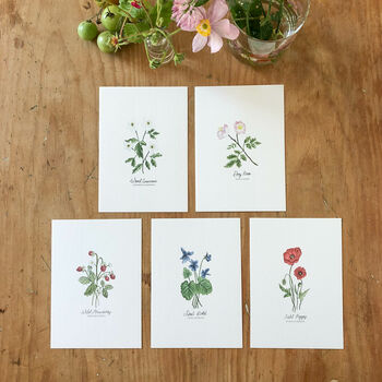 ‘Wildflowers’ Writing Set Of Notecards And Postcards, 7 of 7