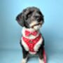 Red Heart Dog Bow Tie, thumbnail 3 of 3