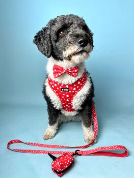 Red Heart Dog Bow Tie, 3 of 3