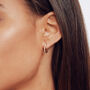 Silver Or Gold Diamond Style Large Hoop Earrings, thumbnail 1 of 7