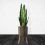 Flowers Composite Planter With Stand, thumbnail 9 of 9