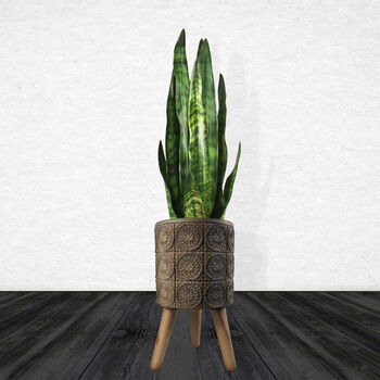 Flowers Composite Planter With Stand, 9 of 9