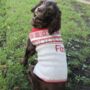 Personalised Knitted Christmas Dog Jumper, thumbnail 1 of 5