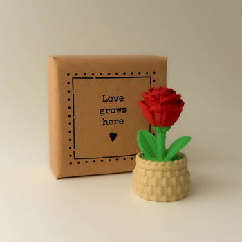 Love Grows Here Tiny Little Gifts Plant Pot Rose, 5 of 5