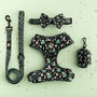 Dog Harness Set | Black Magic, thumbnail 1 of 1