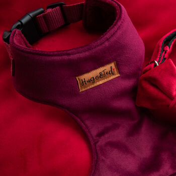 Made To Measure Velour Custom Dog Harnesses, 3 of 7