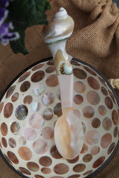 Natural Shell Coconut Bowl And Shell Spoon Gift Special, 4 of 5