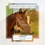 Personalised Pet Loss Horse Memorial Photo Slate, thumbnail 3 of 6