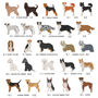 Personalised Mother's Dog Breed Card Sent Direct, thumbnail 5 of 12