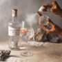 'Seamist And Start Point' Gin And Liquid Garnish, thumbnail 1 of 6