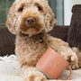 Cockapoo/ Cavapoo/ Maltipoo Engraved Orange Ceramic Tea/ Coffee Mug, thumbnail 3 of 8