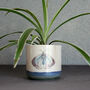 Small Navy Planter Butterfly Ceramic Succulent Pot, thumbnail 3 of 3