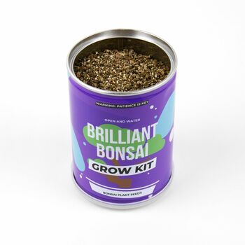 Brilliant Bonsai Grow Kit Tin, 2 of 3
