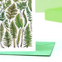 Ferns Of Britain Greeting Card, thumbnail 6 of 7