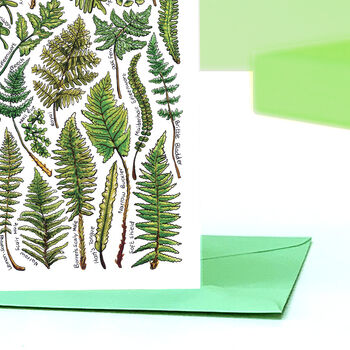 Ferns Of Britain Greeting Card, 6 of 7