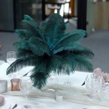 Large 30 To 35cm Imitation Ostrich Feathers, 4 of 12