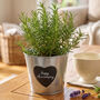 Personalised Plant Pot Bucket Gift, thumbnail 1 of 8