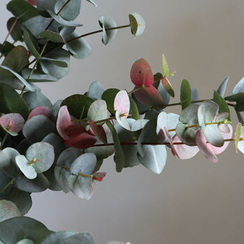 Blush Eucalyptus And Protea Bouquet, 2 of 3