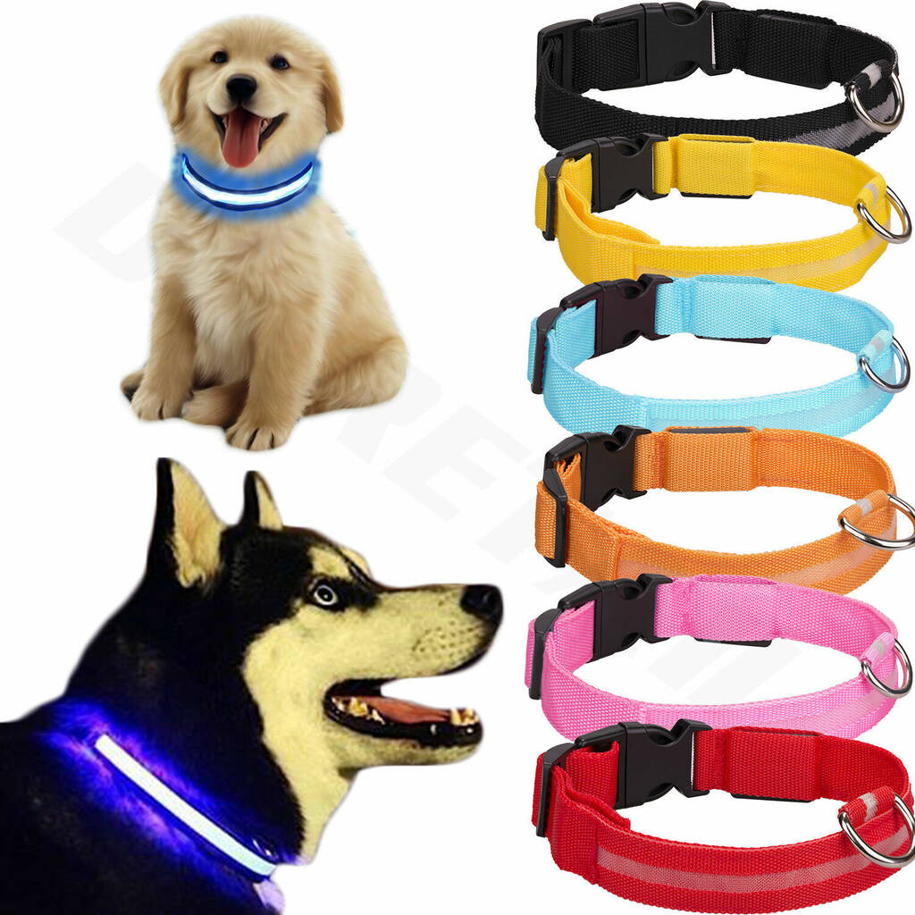 LED Light Up Dog Collars By Air Armor Notonthehighstreet Com   Original Led Light Up Dog Collars 