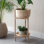 Rattan Planter On A Stand, thumbnail 1 of 2
