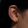 18ct Gold Turtle Stud Earrings, thumbnail 1 of 3