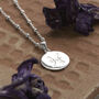 Sterling Silver Pisces Star Sign Necklace, thumbnail 1 of 6