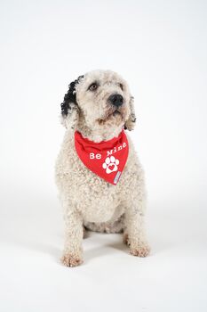 Valentines 'Be Mine' Bandana For Girl Or Boy Dogs, 3 of 5