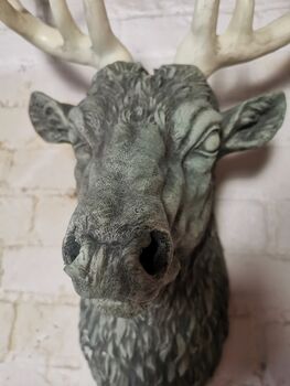 Wall Mountable Stag Head, 4 of 4